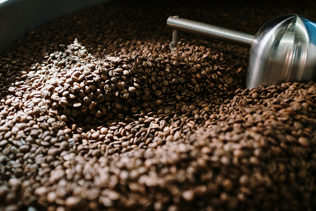 Les premiers grains